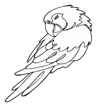 Sleeping blue macaw parrot side view continuous line.... Generative AI