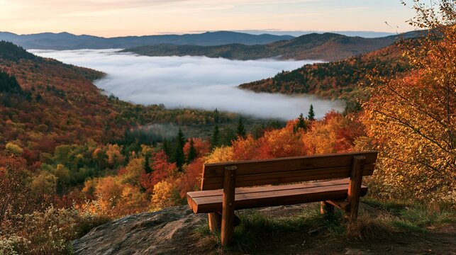 a serene autumn scene. A wooden bench sits on a rocky outcrop, overlooking a dense forest of vibrant fall foliage in shades of red, orange, and yellow. A misty river flows through the forest.