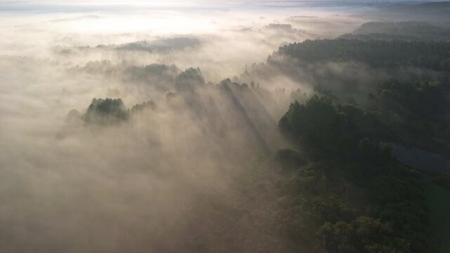 Atmospheric aerial cinematic view of epic foggy nature scener