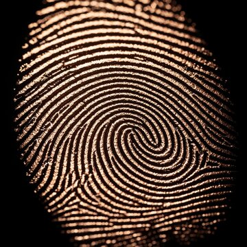 Metallic bronze fingerprint pattern on black background. Detailed biometric thumbprint shows unique ridge lines, texture. Forensic evidence concept for criminal investigation, identity verification,