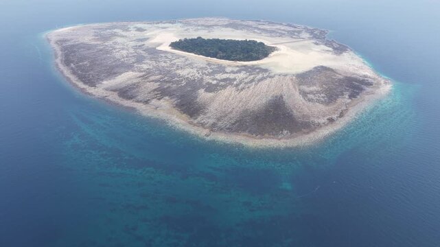 The remote Sangalaki Island is surrounded by a thriving coral reef in the scenic Derawan Archipelago of East Kalimantan, Indonesia. This area harbors extraordinary marine biodiversity.