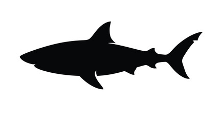 Obraz premium Detailed black silhouette of a great white shark rendered as a clean vector graphic design for marine themed creative projects