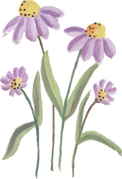 Purple Coneflowers with Green Stems and Leaves Watercolor Illustration
