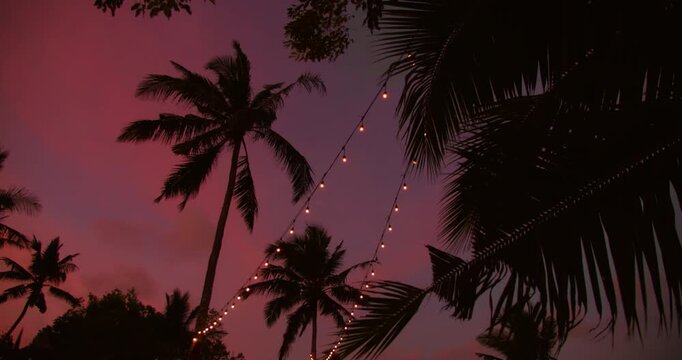 Palm tree silhouettes under purple sunset sky with string lights in Nusa Penida Bali