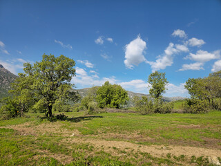 Sun-drenched spring meadow dotted with scattered trees beneath a vivid blue sky, framed by distant mountain peaks and drifting white clouds. 📍 Marivan, Kurdistan, Iran  © Hawraman83