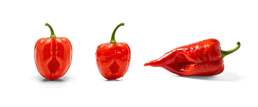 Collection of red chili peppers rest on a transparent background. One pepper is partially open, revealing its interior, while the other is closed.
