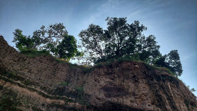 A rocky cliff topped with green trees against a blue sky.