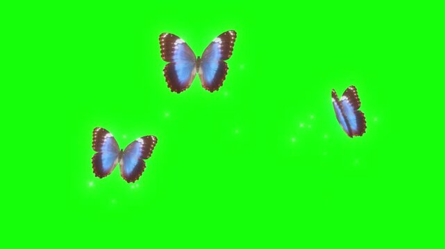 Three blue butterflies flutter with sparkling dust particles against a vibrant green screen.