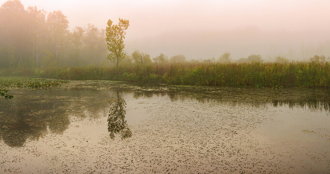 Foggy Morning Across Beaver Marsh on The Towpath Trail, Cuyahoga Valley National Park, Ohio, USA