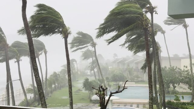 Violent Hurricane Eyewall Winds And Heavy Rain Strike Tropical Coast