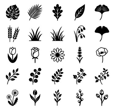 Set of Botanical Plant Leaf and Flower Silhouette Icons Vector