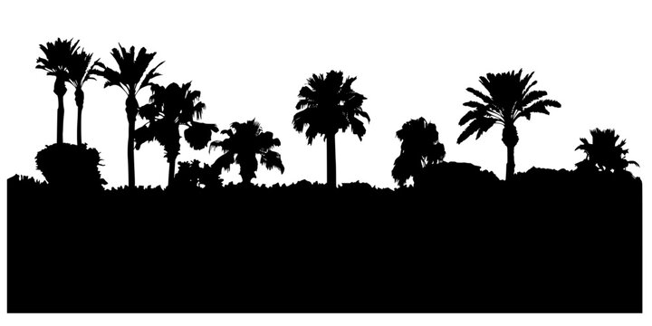 Tropical jungle silhouette illustration with palm trees and dense vegetation, flat vector landscape design for nature and tropical themed backgrounds.