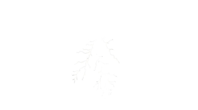 White Minimalist Cloud Icon Isolated on Transparent background