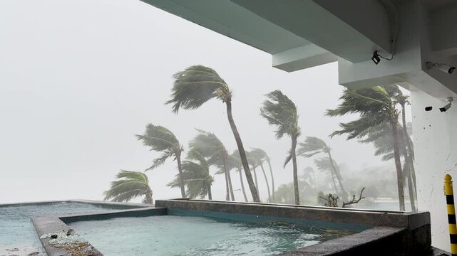 Ferocious Hurricane Winds Lash Coastal Area During Intense Eyewall