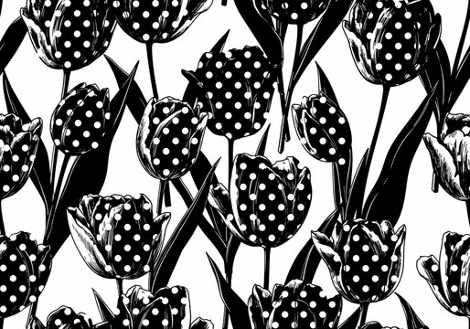 Staccato Petals: A Bloom of Bold Contrast