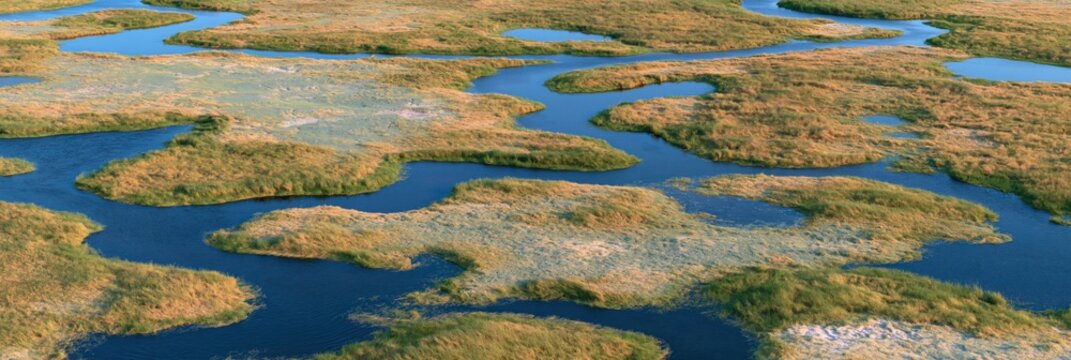 Aerial view of sinuous river winding through golden wetlands during dry season