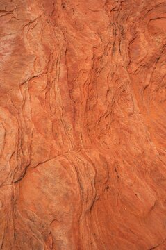macroshot of textures of rocks in valley of fire national park