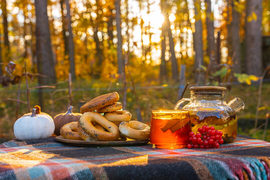 Outdoor autumn picnic featuring transparent teapot filled with herbal tea and fresh orange slices beside matching glass cup on rustic table. Red viburnum berries, traditional bagels and colorful