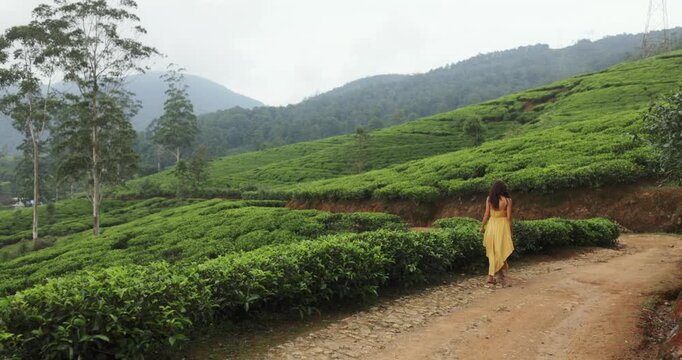 Woman Walking In Yellow Dress Along Scenic Sri Lankan Tea Plantations