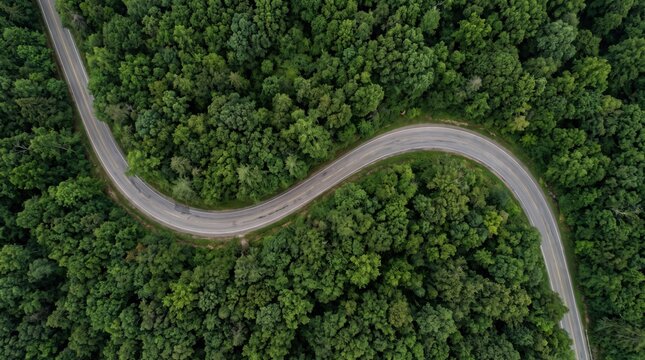 Aerial view of a winding asphalt road cutting through a dense, lush green forest, captured from directly above showing the s-curve path through the trees