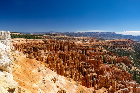 Bryce Canyon Hoodoo Amphitheater Under a Blue Sky