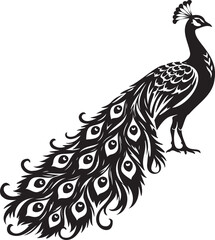 Obraz premium Peacock bird vector silhouette, feathers isolated white background