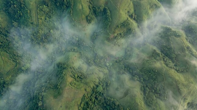 Aerial view of rolling green hills covered in dense forest, partially obscured by wispy white mist and low-hanging clouds in a mountainous landscape