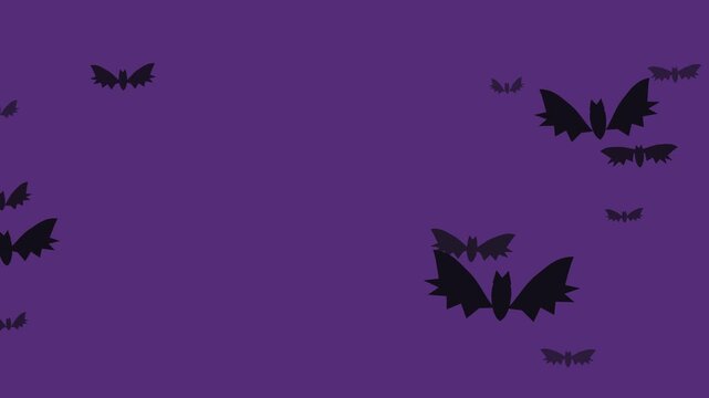 Stylized Halloween animation featuring a swarm of dark flying bat silhouettes moving dynamically across a clean solid purple background.