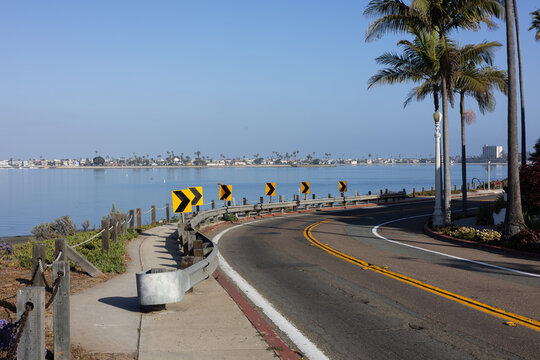 Curving asphalt road with yellow lines follows a scenic coas lined with yellow arrow signs and tropical palm trees, Mission Bay, San Diego, California