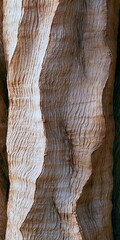 Obraz premium Close-up texture of rough tree bark with vertical