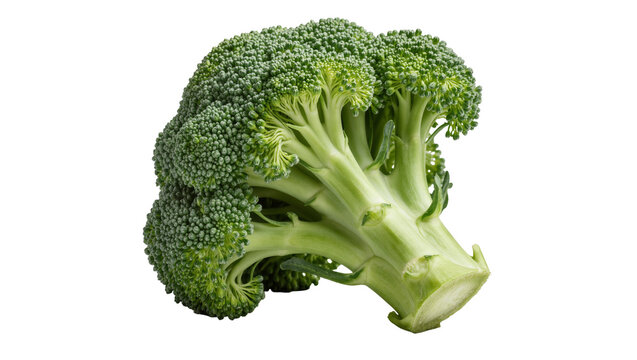 Fresh green broccoli florets and stalk, isolated on transparent background