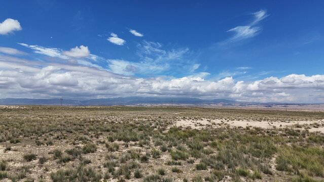 Vast desert grassland landscape under blue sky and white clouds