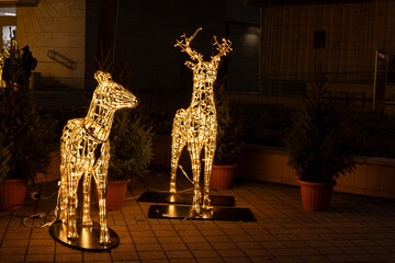 christmas reindeer lights outdoor decoration with copy space © Sarolta Nagy