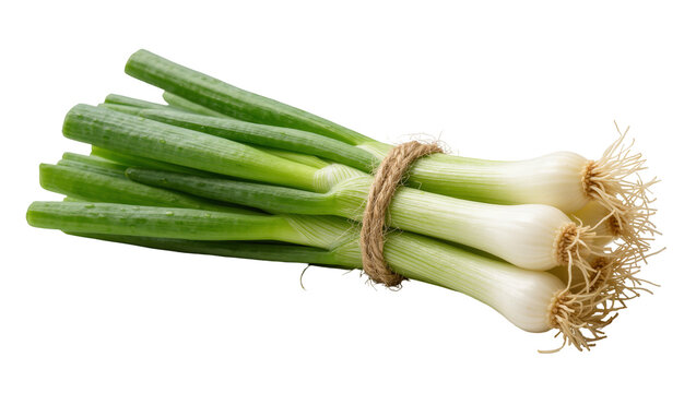 Bundle of fresh green onions tied with jute twine, isolated on transparent background