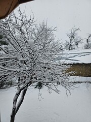 Plakat Snow Covered Kashmir in Winter, White Paradise in Kupwara, Jammu and Kashmir, India