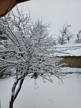 Snow Covered Kashmir in Winter, White Paradise in Kupwara, Jammu and Kashmir, India