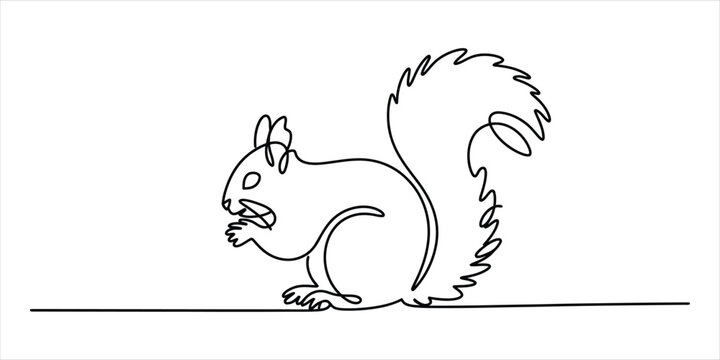 Continuous single line drawing of a cute squirrel eating a nut in simple black style
