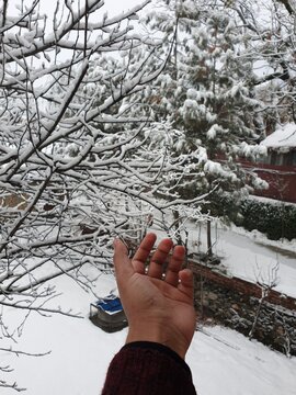Snow Covered Kashmir in Winter, White Paradise in Kupwara, Jammu and Kashmir, India