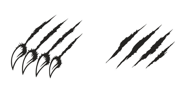 Bear claw scratch marks vector illustration set. Wild animal claw scratches with sharp nails design.
