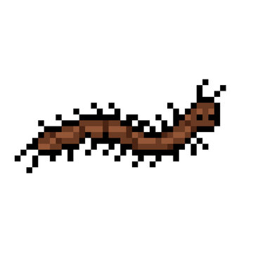 Brown millipede pixel art