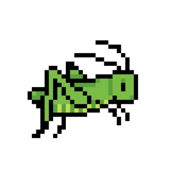Pixel art green grasshopper isolated on transparent background, retro 8-bit game asset vector icon

