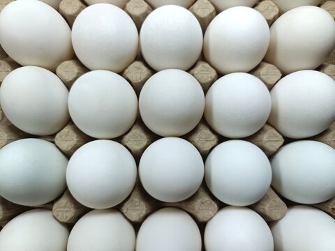 A healthy food-themed background image showing a tray filled with white duck eggs, arranged in rows and ready for cooking.