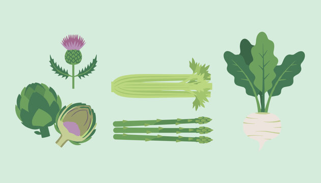 Fresh spring vegetables collection featuring artichoke, thistle flower, celery stalks, asparagus, and turnip.