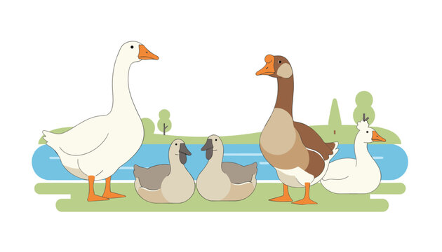 White and brown geese family with baby goslings standing on a green grass bank by a blue river in the countryside.