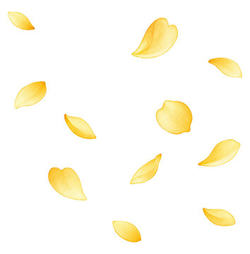 Yellow Falling Petals Decorative Floral Illustration