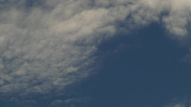 Stratocumulus Clouds Filling dark blue Sky Overhead