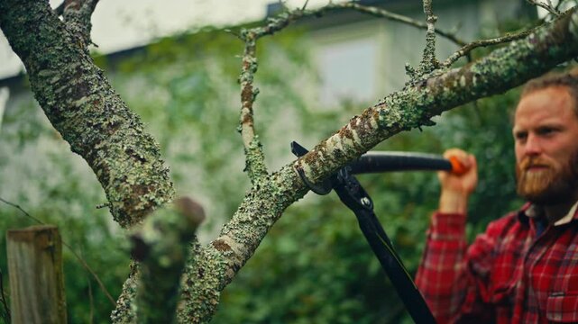 Man uses loppers to cut branches in rural Norway, showing outdoor maintenance work in the countryside