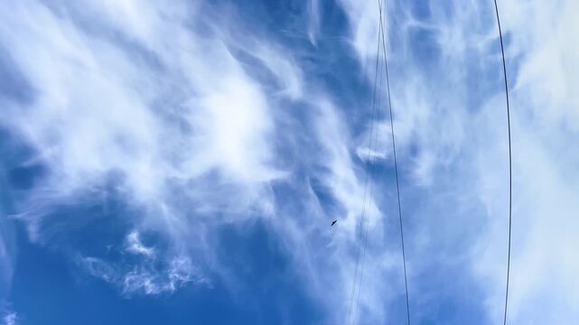 Distant hawk soars through bright blue sky among thin white clouds