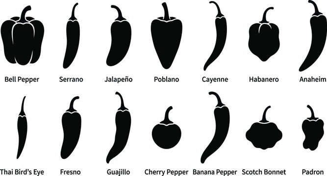 Chili pepper variety set with 14 black silhouettes, labeled hot pepper icons including Jalapeno and Habanero, spicy vegetable vector collection