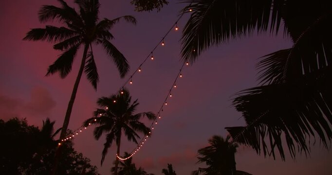 String lights hang between palm trees under the purple sunset sky at a tropical resort